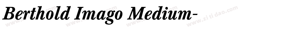 Berthold Imago Medium字体转换